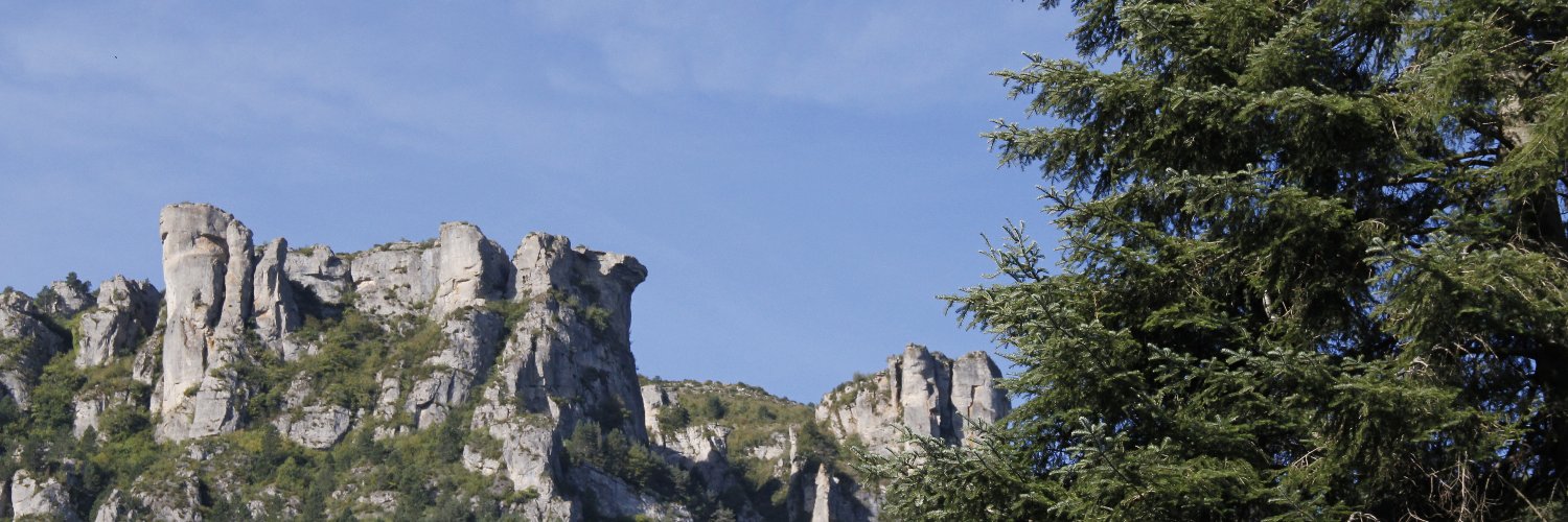 Mondjolo's profile banner image