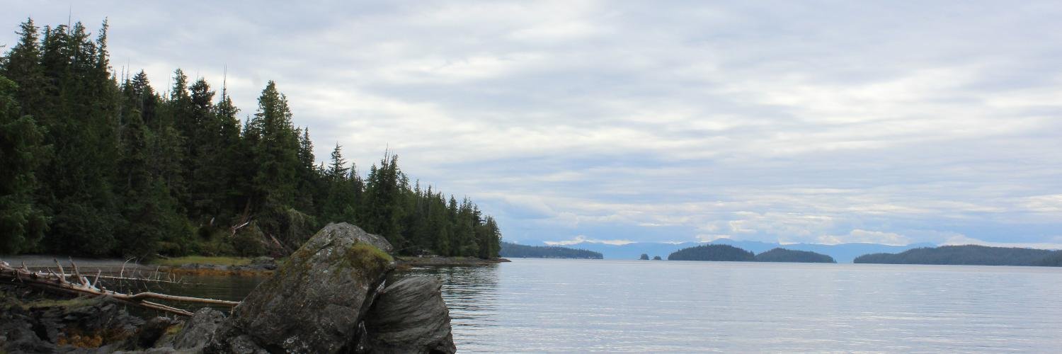 peterstanton's profile banner image