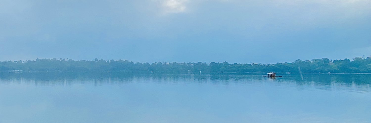 maimlost's profile banner image