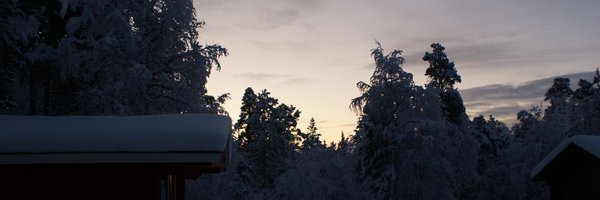 Arashibree Profile Banner