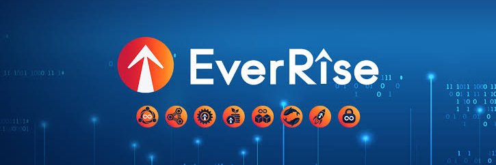 Always EverRise ⬆️💪 banner