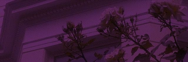 Léa 🃏🇫🇷 💁🏼‍♀️ banner