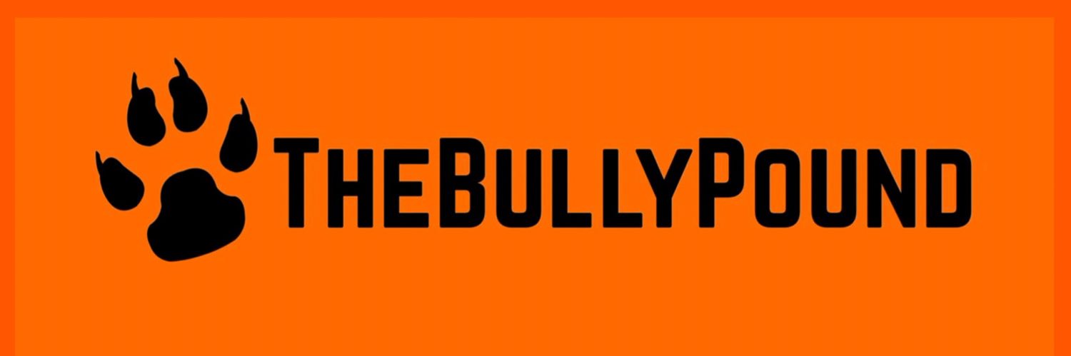 Thebullypound banner