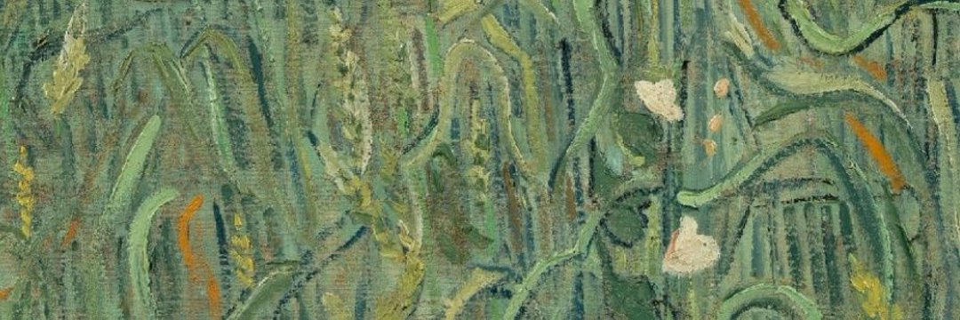 ilseprivateacc's profile banner image