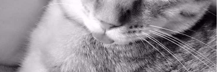 0320911's profile banner image
