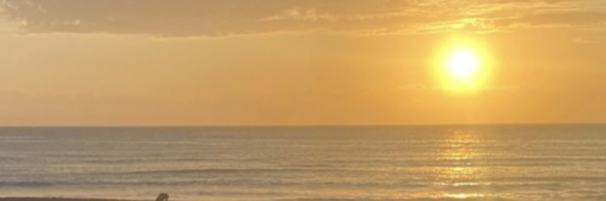 Peter Wilson banner