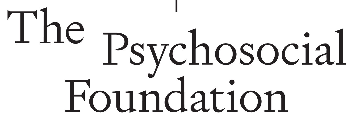 Psychosocial Foundation's banner