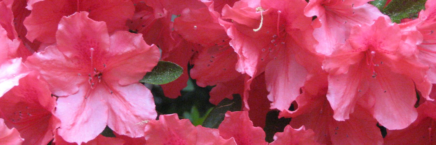 momsaway79 banner