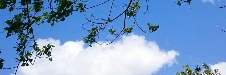 chiparadila's profile banner image