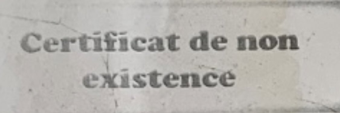 PhaFa🇸🇳 banner