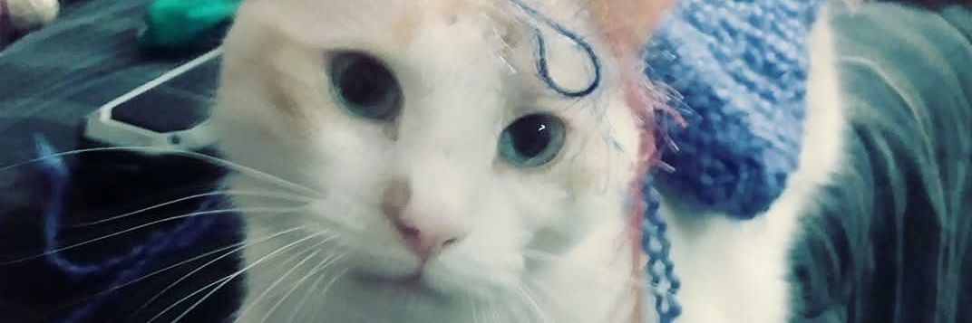 V.R. Byrnes is Writing banner