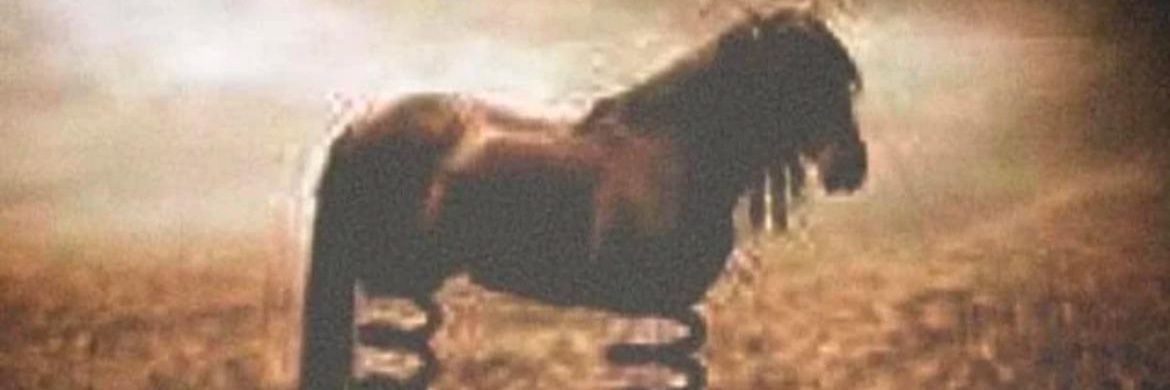 p 𝕏 t a k's banner