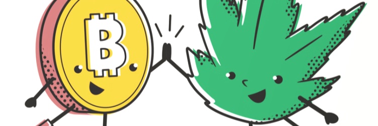 David Cumming banner