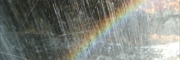 Tigosophy Profile Banner