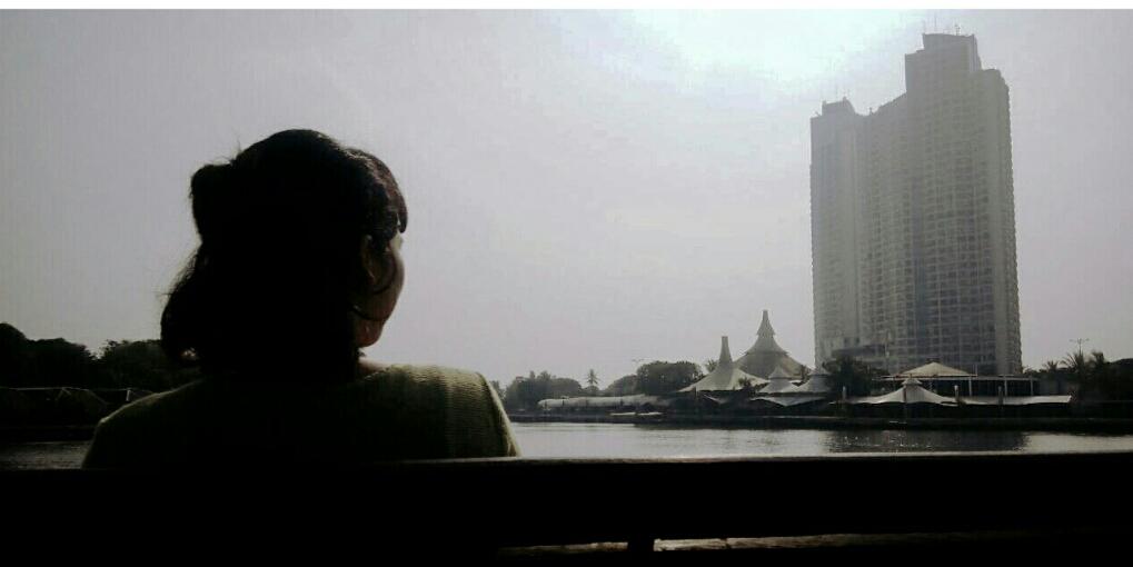 lisapasaribu's profile banner image