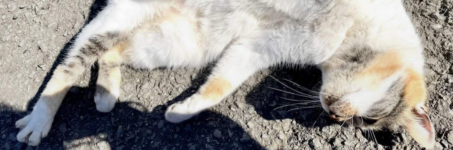 にゃ～(ｏ・ω・)ノ banner