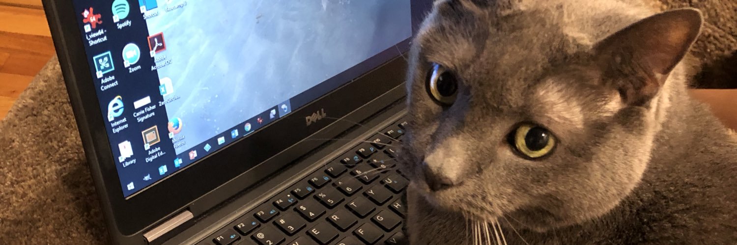 CjFishner's profile banner image