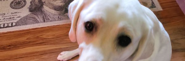 catbogan02 Profile Banner