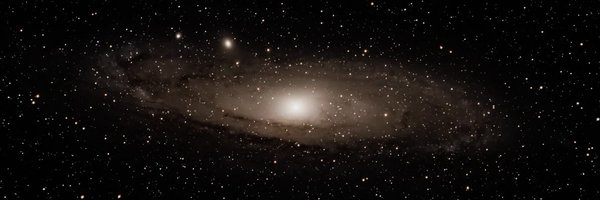 dinokuaci Profile Banner