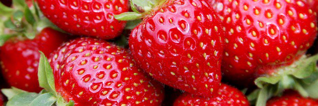 Fresher Sacramento banner