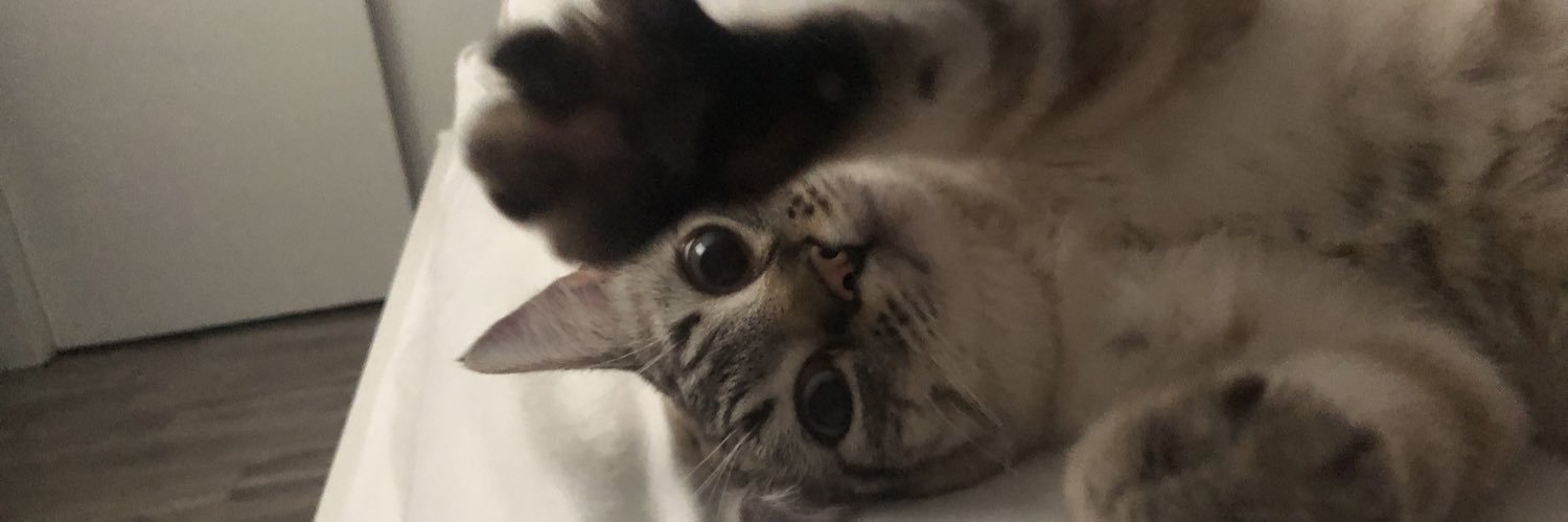 Cubiminx's banner