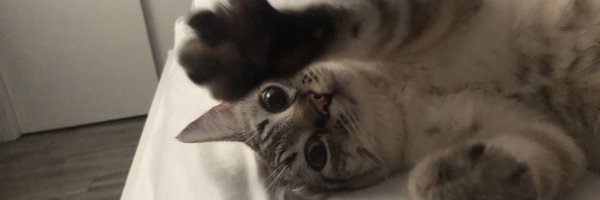 cubiminx Profile Banner