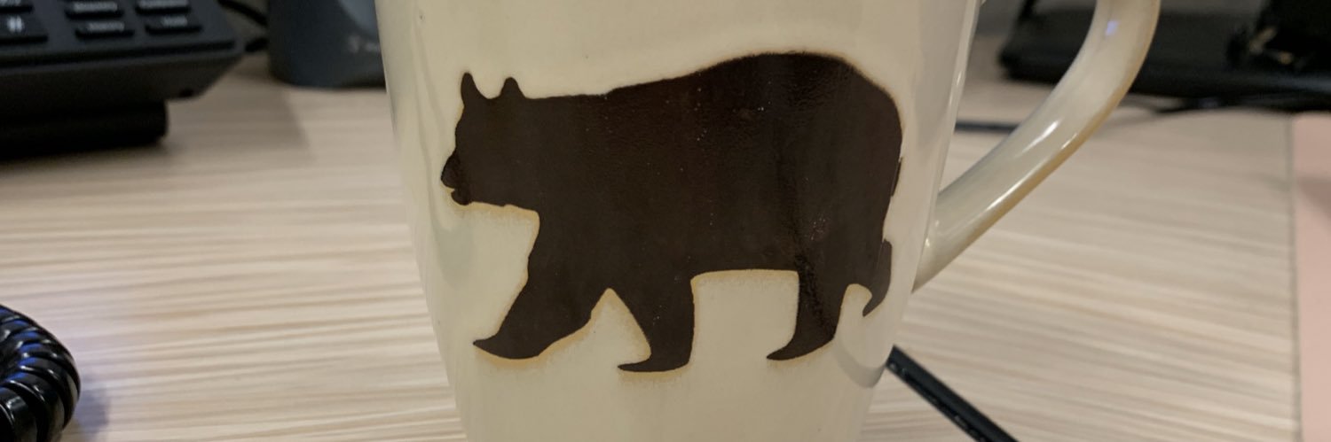 sbearnew13's profile banner image