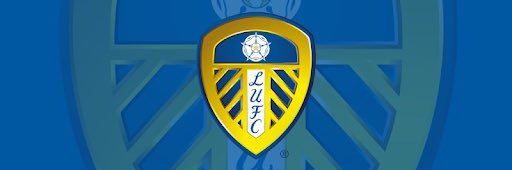 Roger Binks 💙💛🏴󠁧󠁢󠁥󠁮󠁧󠁿 banner