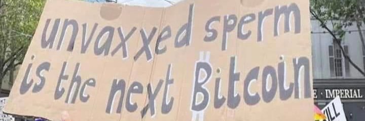 Steven McClean banner