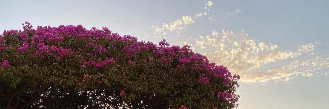 itsnasoo9's profile banner image