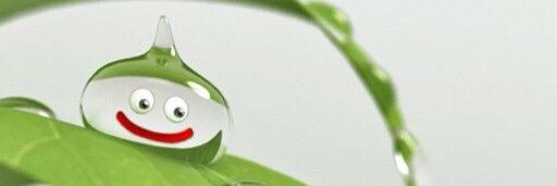 Rose_jicho's profile banner image