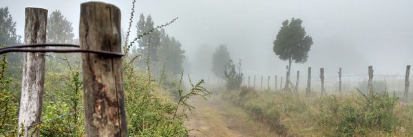 DatosEtc Profile Banner