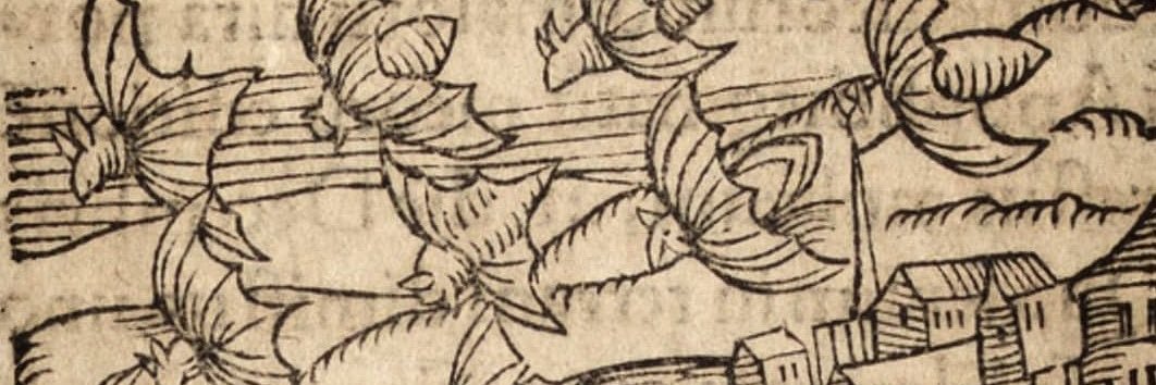 naprogesiac's profile banner image