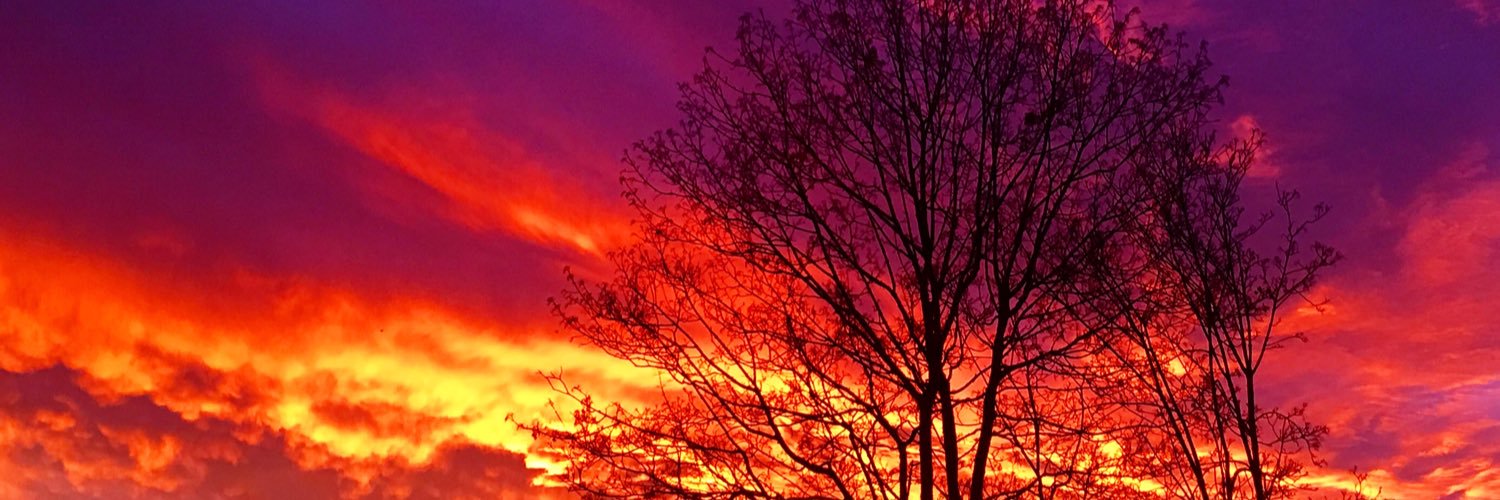 maniology's profile banner image