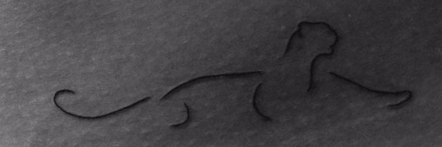 agosstrogu's profile banner image