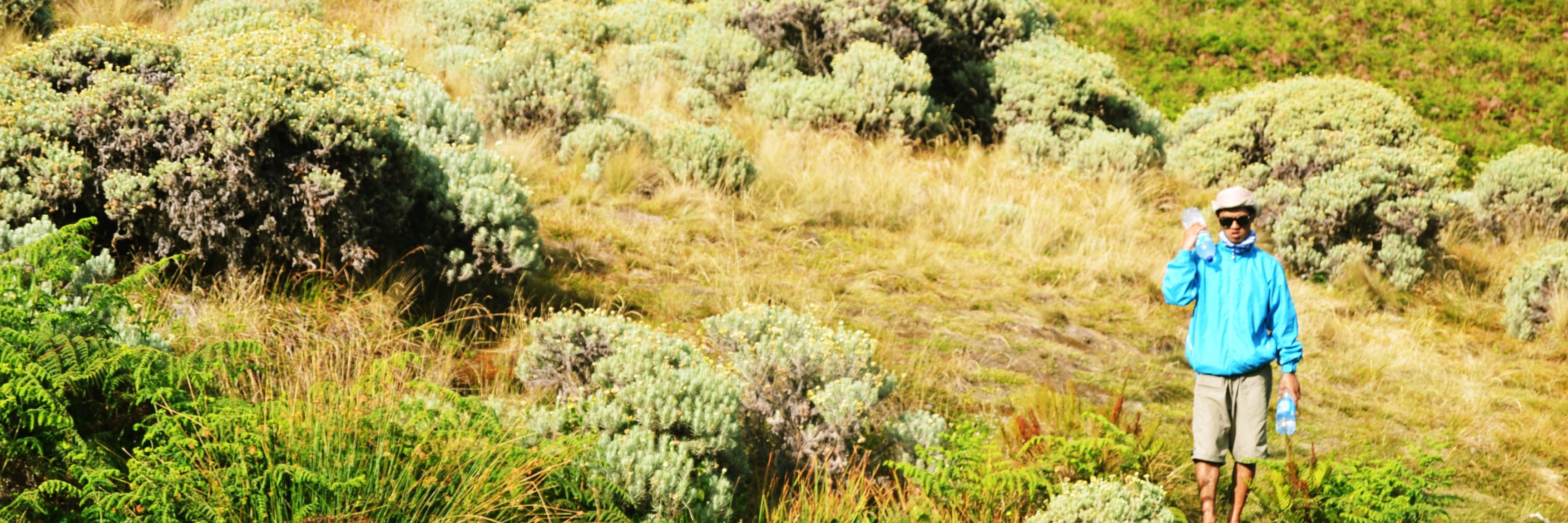 tjimenk22's profile banner image
