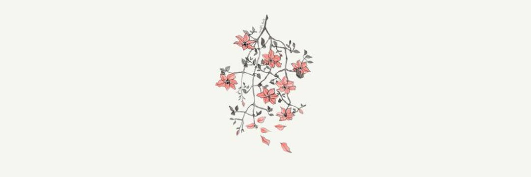 dinanvyn's profile banner image