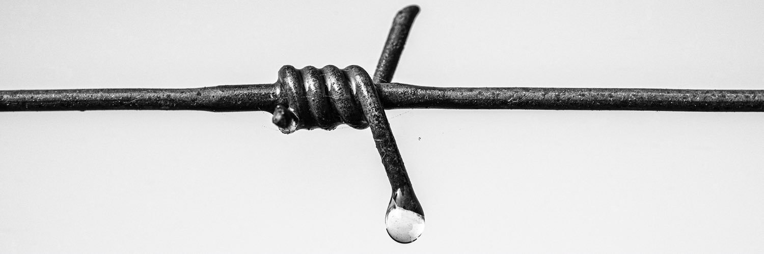 marcosrodfoto's profile banner image