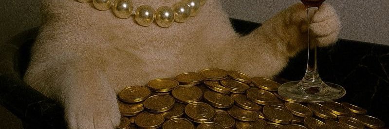 fernspt's profile banner image
