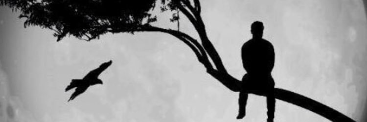 fideris_rafael's profile banner image