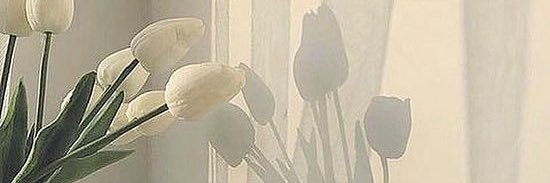 ぁゅ🦔⸒⸒ banner