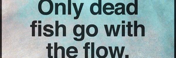 sayham Profile Banner