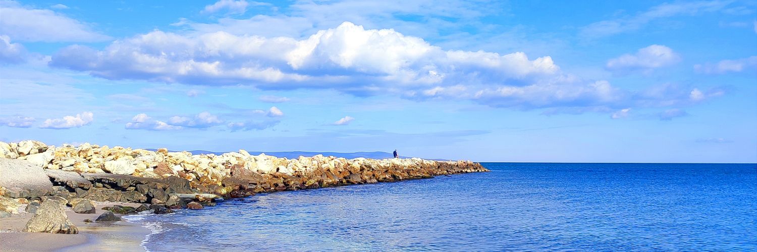 ankaemigrantka's profile banner image