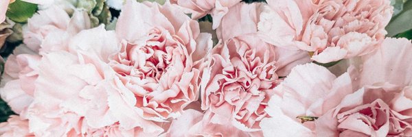 TresLeches0 Profile Banner