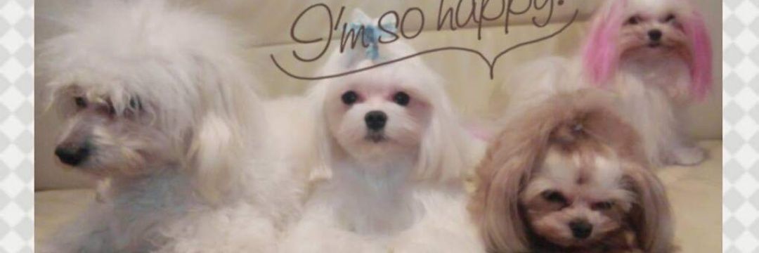 ヘラる banner