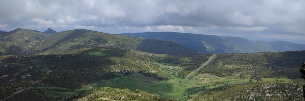 Miriam Tenquist banner