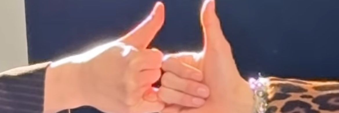 lekak banner