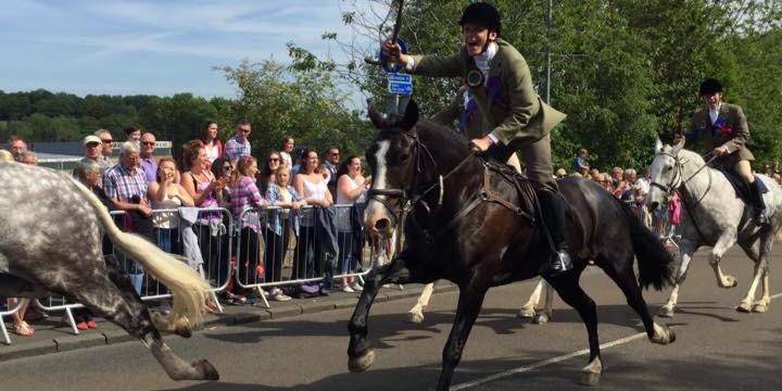 Southern Reporter banner