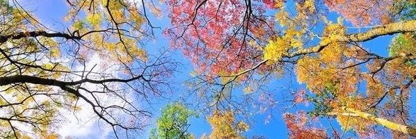 frd_bordon's profile banner image