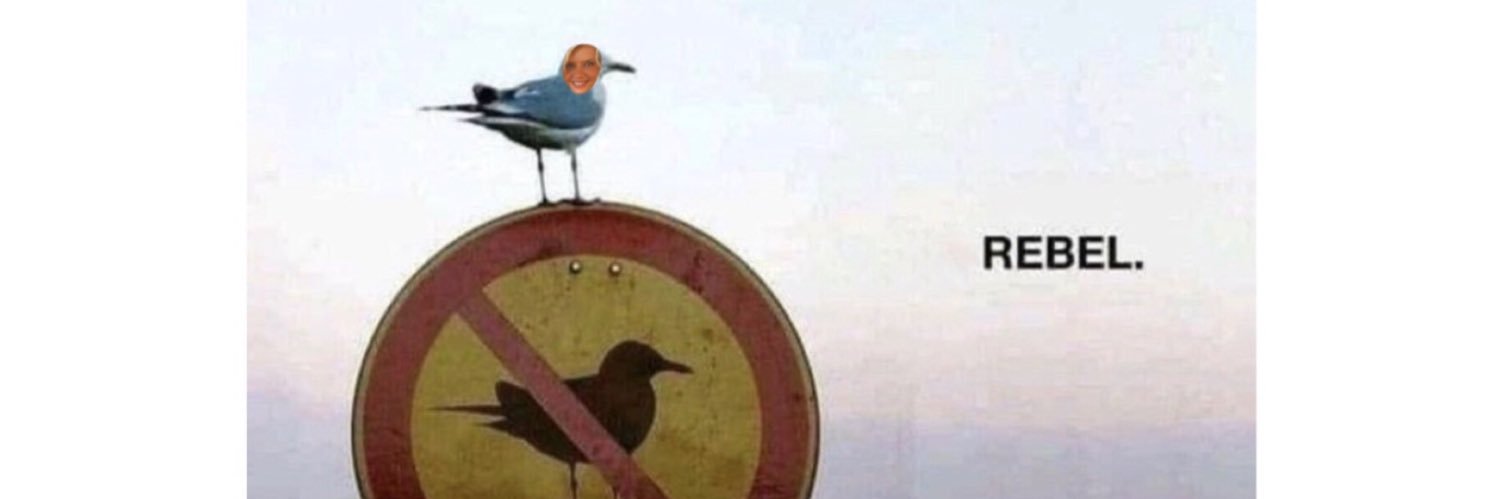 Sofietvarno's profile banner image